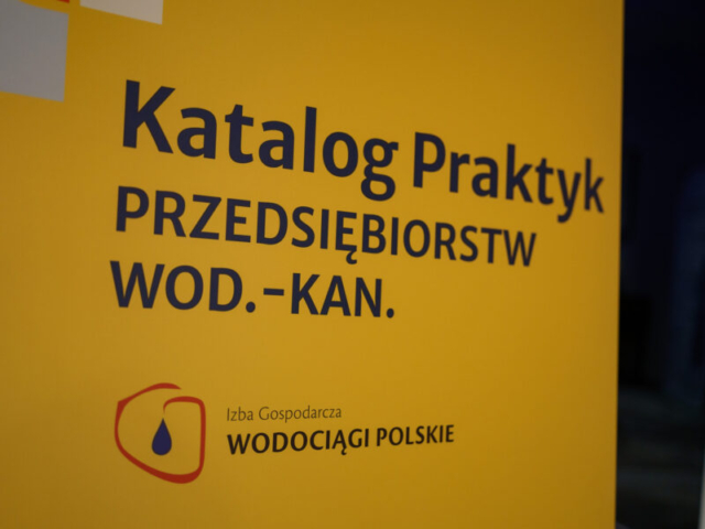 Bartek Dębkowski / Kreatyw! Media